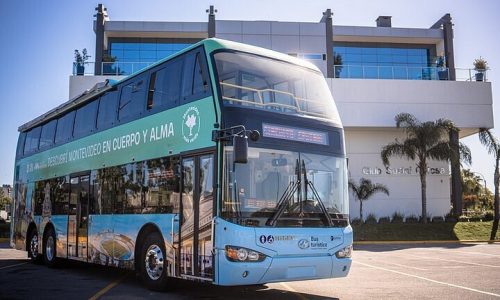 Bus Turistico MVD
