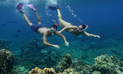 SNORKELING