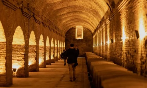 large_Tour_Vinedo_Cousino_Macul_84dd4278d9